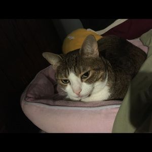 Meet your Posher, Maureen